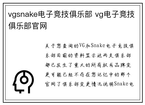 vgsnake电子竞技俱乐部 vg电子竞技俱乐部官网